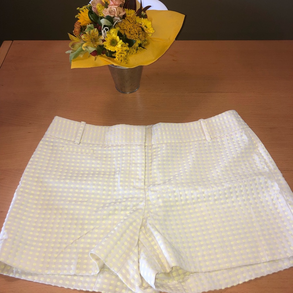 NWT LOFT Shorts